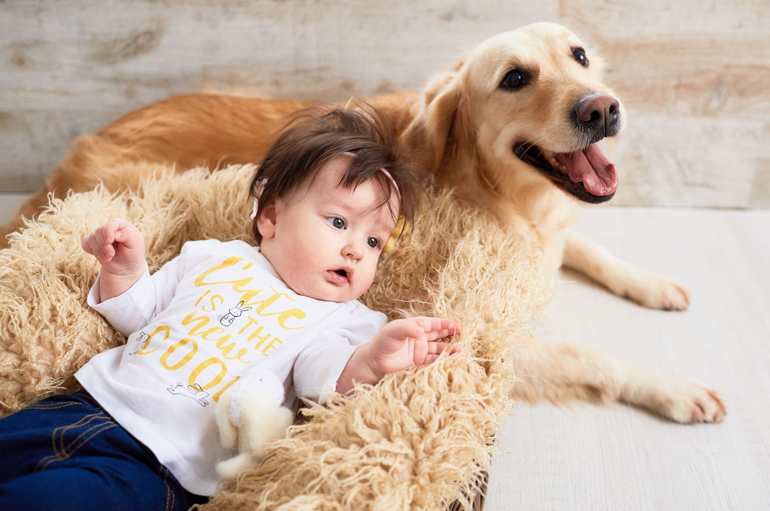 a baby with a dog labrador